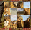 Puzzle Safari