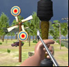 Archery Expert 3D
