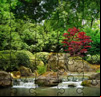 Jigsaw Puzzle - Japanese Garden 2