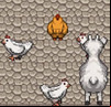 Llama's Chicken Farm