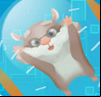 Hamsternikus