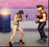 Final Fighters