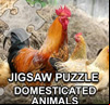 Jigsaw Puzzle Domesticated Animals