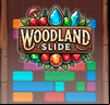 Woodland Slide