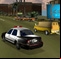 Police Chase Crackdown