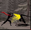 Rage Blade