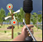 Archery Expert 3D