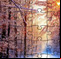 Jigsaw Puzzle Snowy Scenes