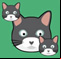 CatMouse.io
