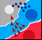State.io - Conquer the World