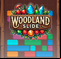 Woodland Slide