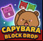 Capybara Block Drop