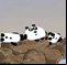 3 Pandas 2